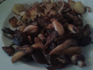 Gemischte Pilze mit Bratkartoffeln und Trüffel